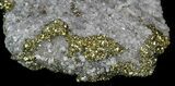 Glimmering Chalcopyrite & Calcite - Missouri #35117-2